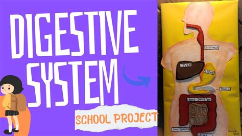 DIY Digestive System Project 的图像结果