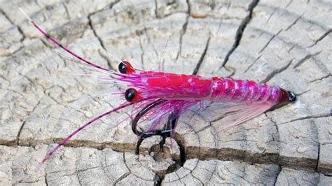 Simple Shrimp Fly Patterns 的图像结果