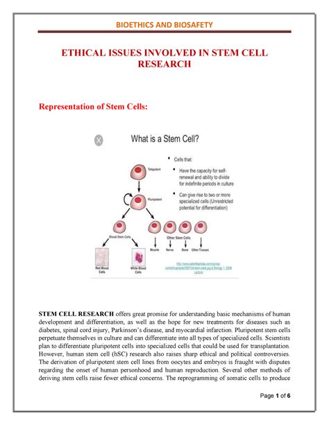 Bioethics 的图像结果