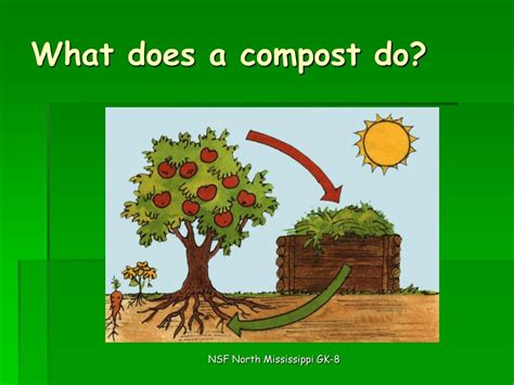 Image result for Decomposition Code Programing