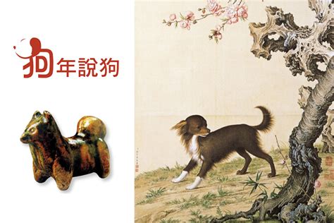 狗年說狗 旅遊資訊 香港中國旅遊出版社