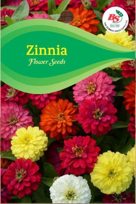 Buy Zinnia Mixed Seeds Online – Bombay Seeds