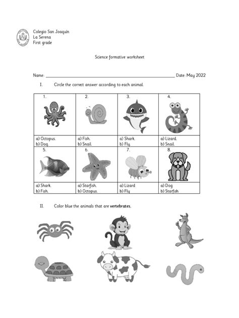 Formative Assessment Examples for Science 的图像结果