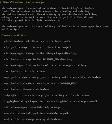 How to Use Virtual Environment Python 的图像结果