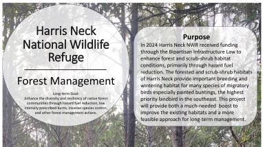 Harris Neck Forest Management Information Poster | FWS.gov