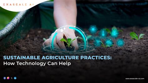 Sustainable Agriculture 的图像结果