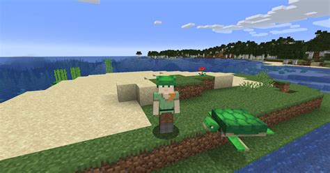 Image result for How to Craft a Turtle Shell in Minecraft