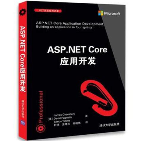 ASP.NET程序设计与应用_百度百科