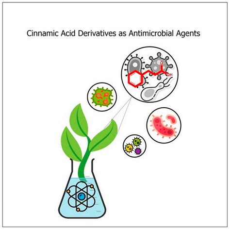 A Review of Cinnamic Acid’s Skeleton Modification: Features for ...