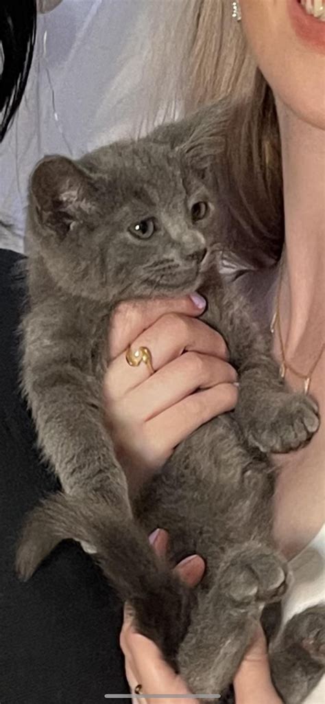 Charlotte G (u/charlottegodoy) - Reddit