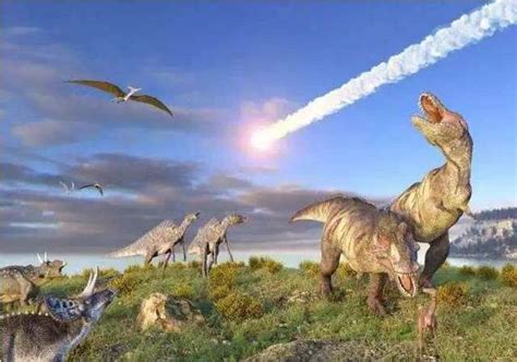 恐龙的进化历程(组图) — 未解之谜网
