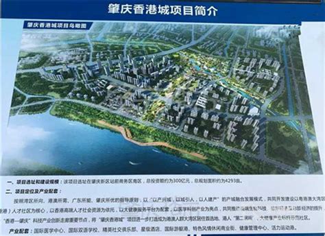 【广东|肇庆】【年薪最高50w】肇庆市2021年高层次后备干部人才招聘公告 - 知乎