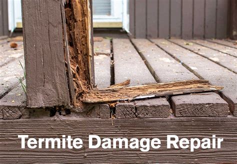 Termite Damage Repair - Termite Damage Repair • House Painting