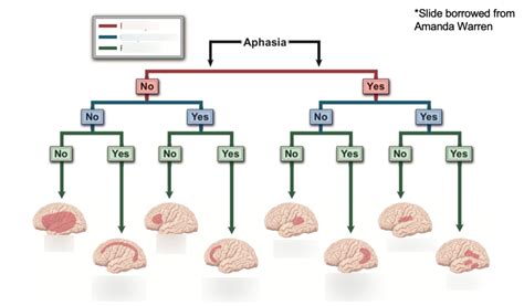 Image result for Aphasia Type Tree
