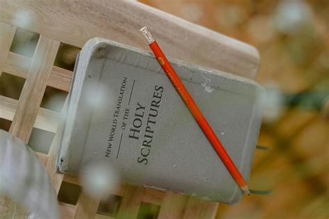 Image result for Multilanguage Translator