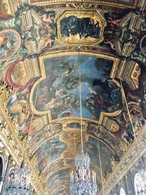 Ms. Wolf - Fotografía