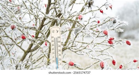 Science Weather Instruments 的图像结果