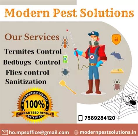 Modern Pest Solutions