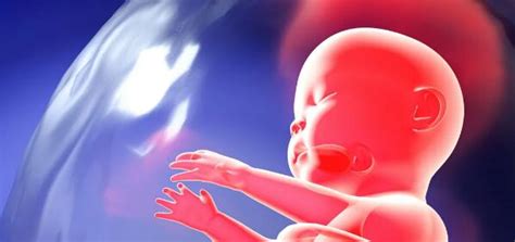 孕晚期避免胎儿缺氧，方法其实很简单！