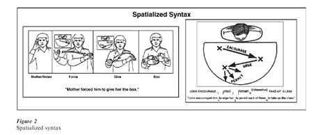 Image result for Monkey Sign Language Research