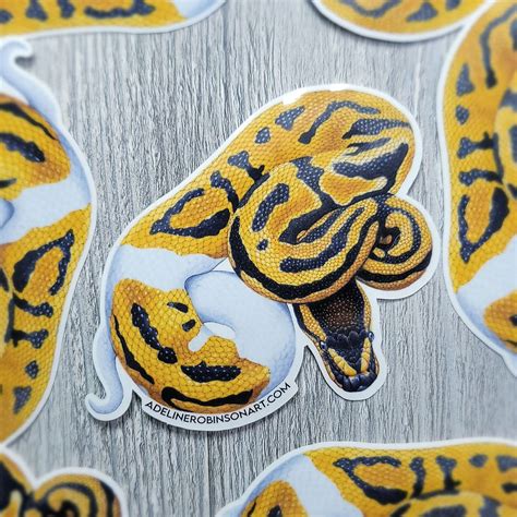 Image result for Pied Ball Python Sticker