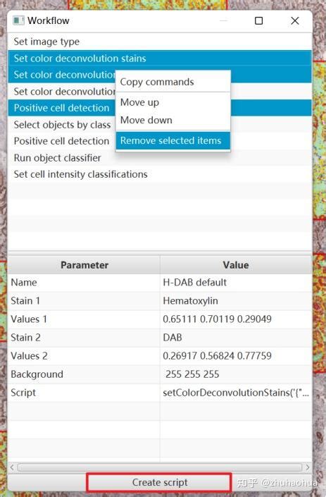 QuPath Tutorial 的图像结果