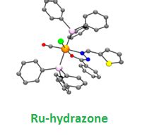 Centre for Organometallic Chemistry, Bharathidasan University