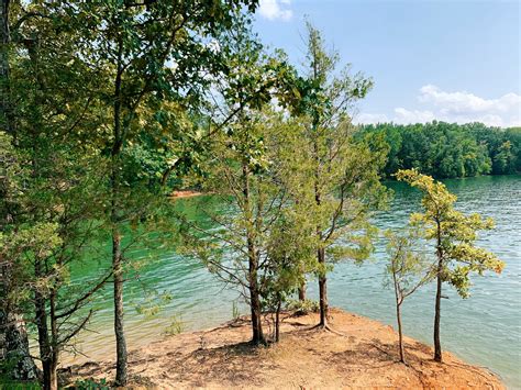 TIMS FORD LAKE STATE PARK — WILDERONES