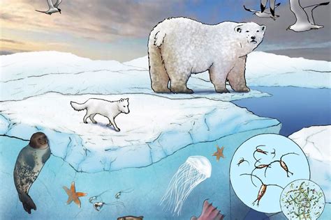 Ecosystem Drawing 的图像结果