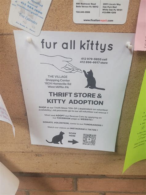 Some flyers currently at White Oak Giant Eagle : r/McKeesport