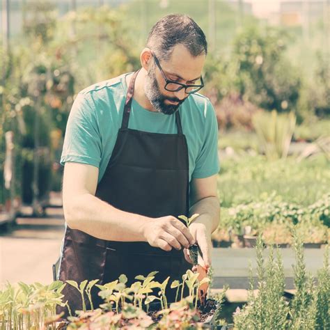 Water Lily Vs Lotus | Similarities & Differences