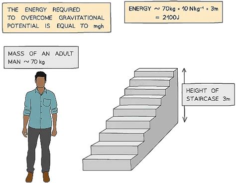 Physical Quantities and units - Physics for Grade 10 PDF Download