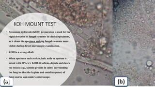 Image result for Python Four Quant Plot