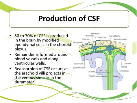 CSF Pathway Flow Chart 的图像结果