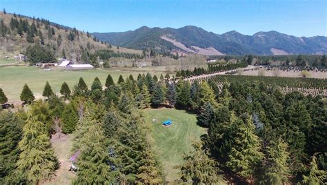 Lower Falls Campground in Gifford Pinchot National Forest, Washington ...