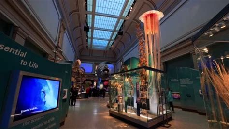 Smithsonian Museum 的图像结果