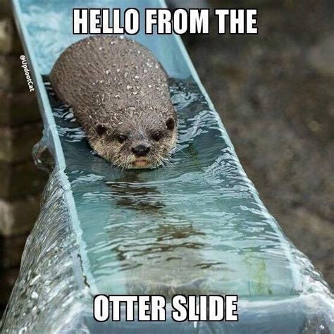 Image result for Hello Meme