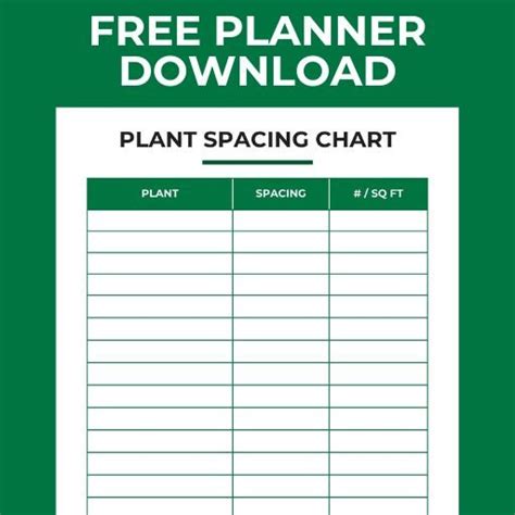 Space Between Plants 的图像结果