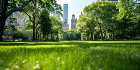 City Park 的图像结果