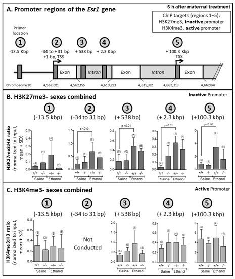 Altered Epigenetic Marks and Gene Expression in Fetal Brain, and ...