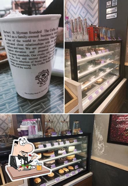 The Coffee Bean & Tea Leaf restaurants in Ludhiana, summer 2024 ...