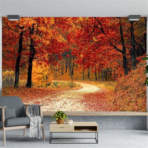 The Seven Colours Beautiful Self Adhesive Wallpapers Autumn Forest ...