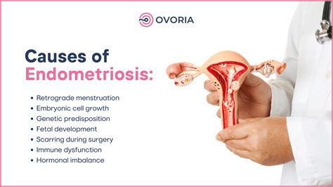 What Causes Endometriosis | Ovoria