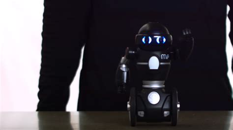 Mar MIP Tutorial 的图像结果