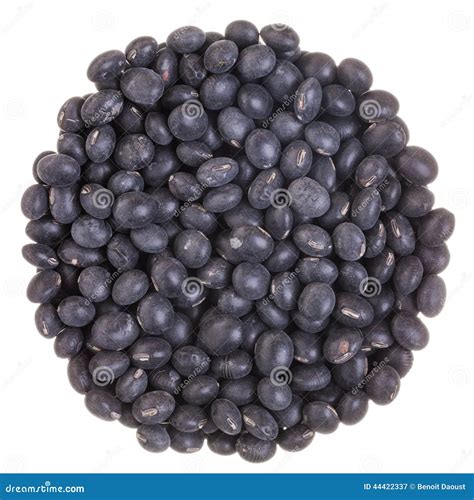 Circle Texture of Black Soy Beans Stock Image - Image of group, natural ...