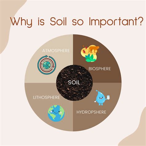 Earthfort on LinkedIn: Why is soil so important? Soil is at the ...