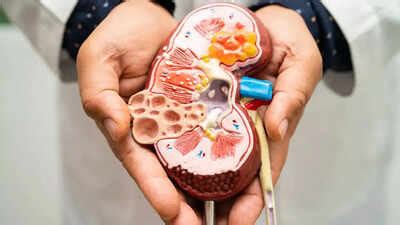 Dialysis most availed of treatment under PMJAY | India News - The Times ...