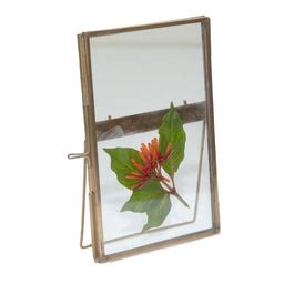 Festive Gifting — The Purple Turtles - Online Home Decor Store