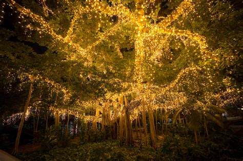 QUT, Gardens Point - Firefly Lighting - Commercial Grade Decorative ...