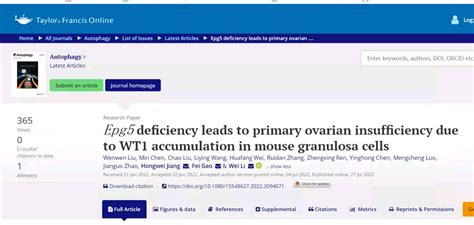 Autoadrogynephilia 的图像结果